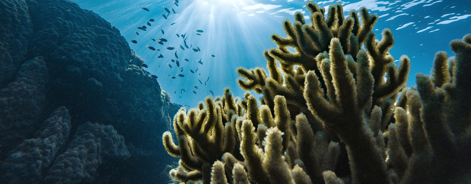 三達(dá)膜中水回用、陶瓷膜、石墨烯膜、黑金膜公眾號(hào)，歡迎您掃碼關(guān)注！